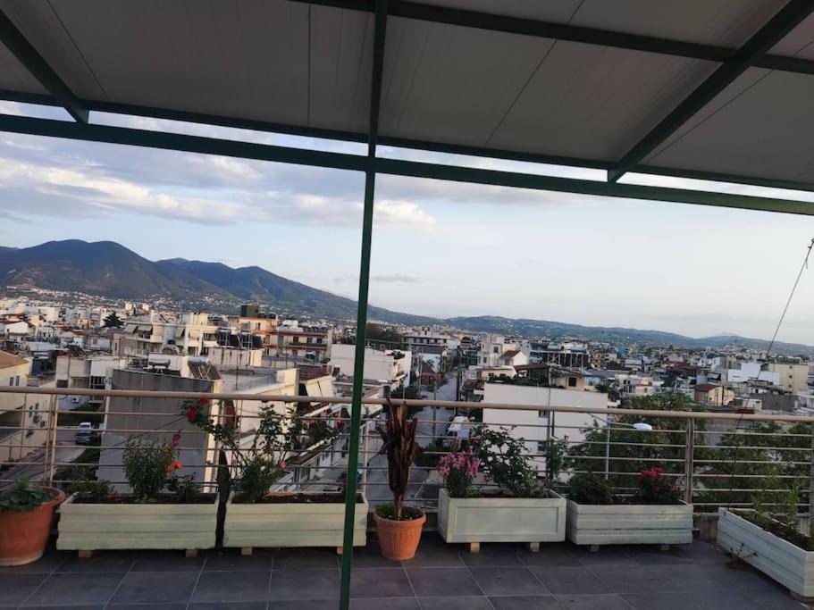 Deluxe οροφοδιαμέρισμα με υδρομασάζ κ' ταρατσόκηπο * Patras